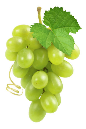 Grapes isolated. Bunch of ripe green grapes with green leaf and vine.の写真素材