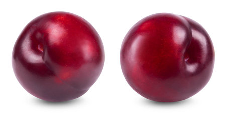 Plum isolated. Two ripe plums on a white background. fresh fruit.の写真素材