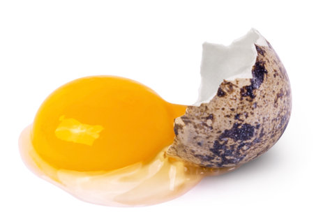 One broken raw quail egg with yolk isolated on white background.の写真素材