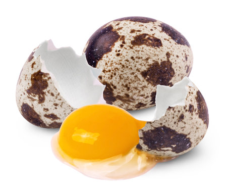 Whole quail egg and broken raw quail egg with yolk isolated on white background.の写真素材