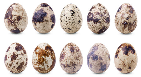 Quail eggs isolated set. Collection of different quail eggs on a white background.の写真素材