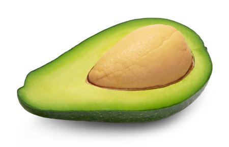 Avocado isolated. Half of a ripe green avocado with a core on a white background.