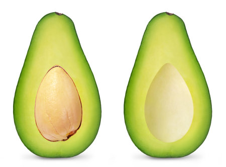 Avocado isolated. Two ripe green avocado halves on a white background.の写真素材