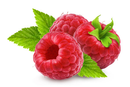 Raspberry isolated. Ripe raspberries with leaves on a white background.の写真素材