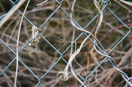 Fence of the metal mesh closeup. Behind the fence is dry grass. Abstract background.
