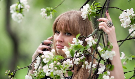 The woman in branches of a blossoming apple-treeの写真素材