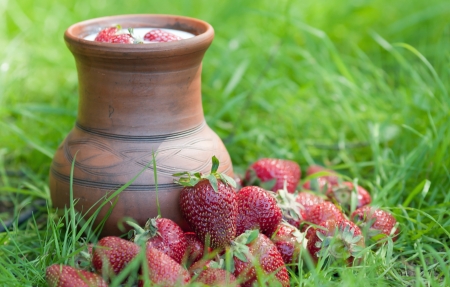 Strawberry in a grass and a milk jug  の写真素材