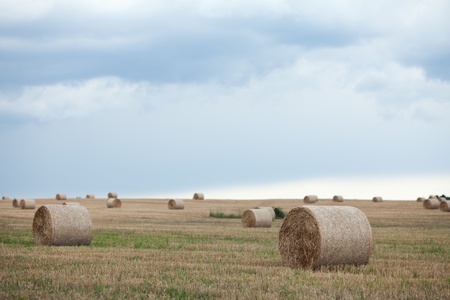 Haystack in the field against the storm sky  の写真素材