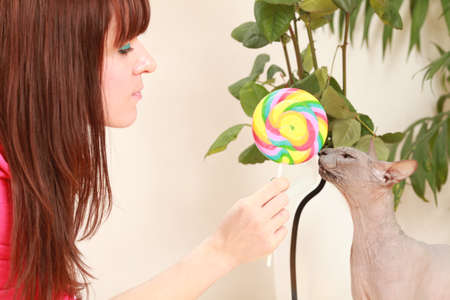 candy and cat  