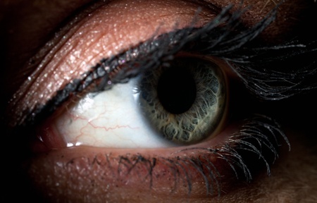 beautiful female eye close-up. macro picture of the human eye