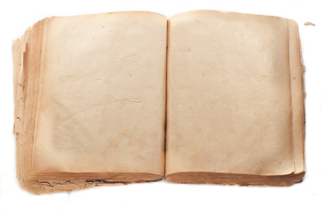 blank pages of the ancient book  Very textured yellow pages, ready to be filled with text and images...