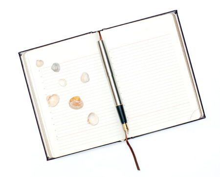 Open notebook and shells lying on a white backgroundの写真素材