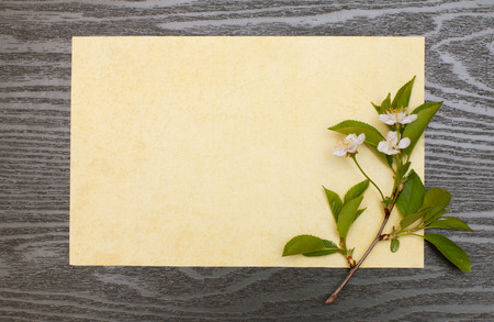 cherry blossoms and  sheet of paper on the tableの写真素材