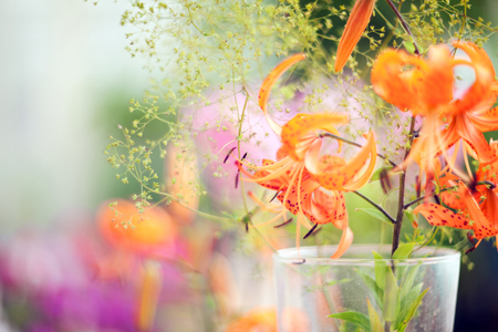 Beautiful lily close-up on a blurred backgroundの写真素材