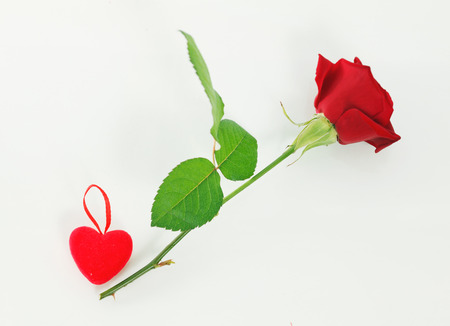 Red rose and heart lies on a white tableの写真素材
