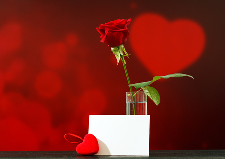 Red rose and note on a background with heartsの写真素材