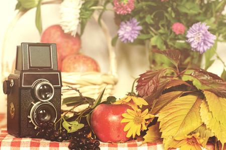 Old camera and autumn composition on the tableの写真素材