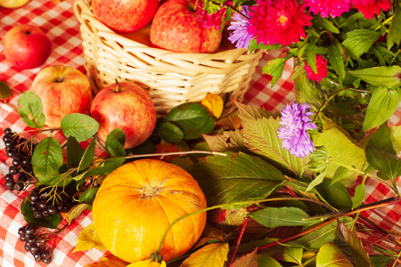 Autumn composition of pumpkin, apples and flowers on the tableの写真素材