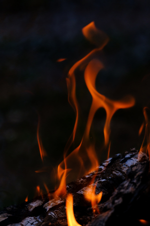 Burning log on a black background close upの写真素材