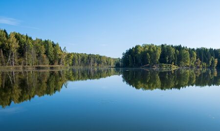 summer cloudless day by the lake in the forestの写真素材