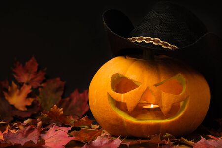 beautiful carved halloween pumpkin in hat on a black backgroundの写真素材