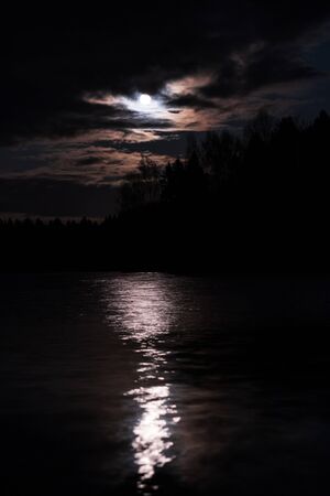 round moon in the clouds in the night sky over a lake in the forest
の写真素材