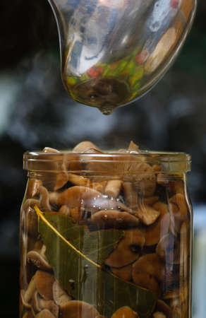 small beautiful mushrooms pickled in a jarの写真素材