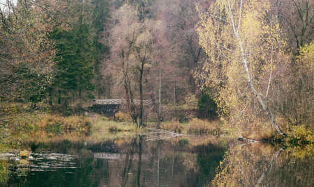 beautiful autumn forest by the lake and the old bridge
