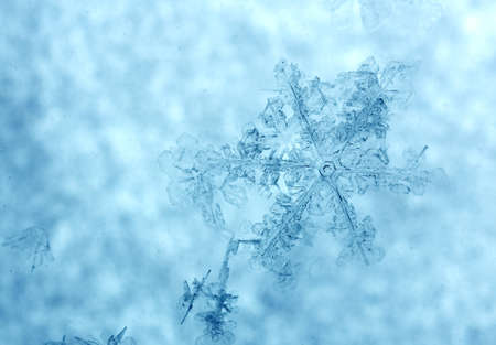 Macro photo of a beautiful snowflake close-up