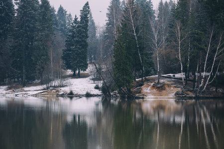 beautiful spring forest with remnants of snow on the shore of the lakeの写真素材