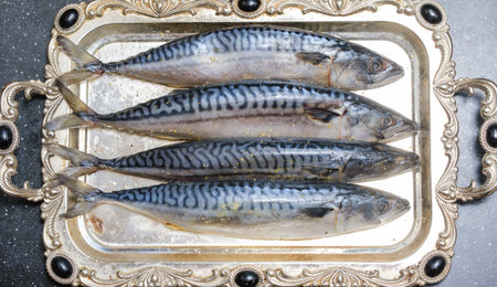 fresh beautiful mackerel on a tray close-upの写真素材