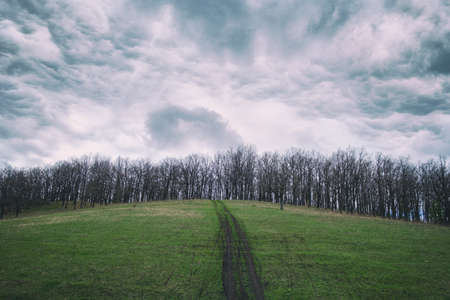 trees without leaves on a green hill with a rut and a cloudy sky in spring
