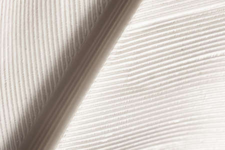 macro photo of a white feather bird close-up
