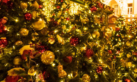 beautiful new year decorations on christmas trees at night