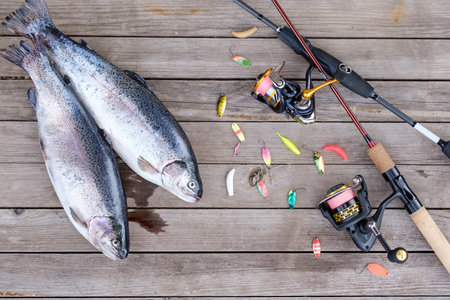 two spinning rods with reels, caught trout and fishing lures lie on a wooden table top viewの写真素材