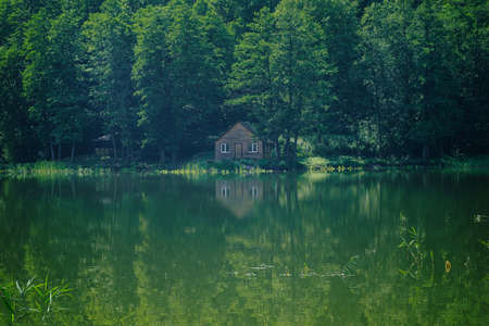small wooden house on the shore of the lake among the trees on a summer dayの写真素材