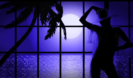 beautiful silhouette of a young woman in a hat near the window against the backdrop of a fantastic sea night landscapeの写真素材