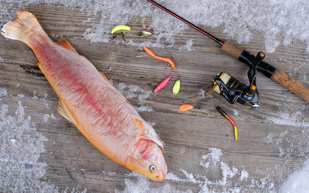 a spinning rod with a reel and fishing baits lies on an old wooden table with next snow to a caught...