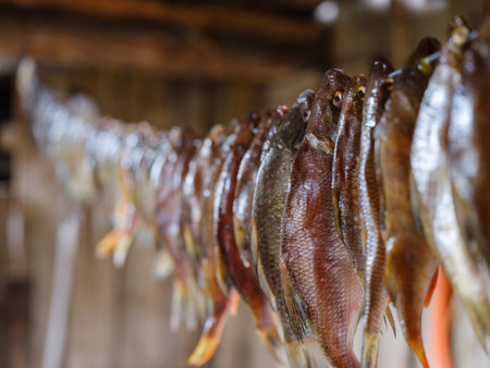 crucian carp and bream are dried hanging on a ropeの写真素材