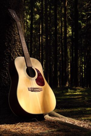 Guitar in forest