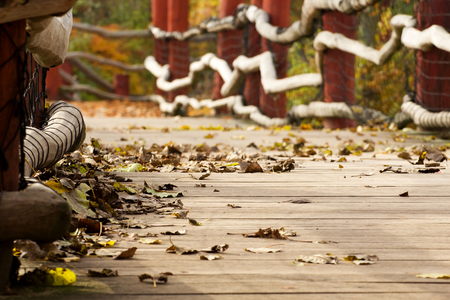 Plank path with dry leaves and Red leaves.の写真素材