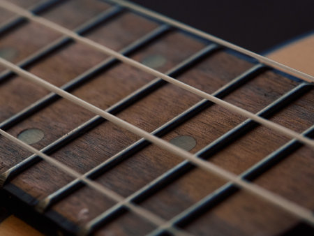 Ukulele neck and strings horizontal across frame, focus on wood texture, no reflective light, warm natural tones, minimalist artistic composition, musical instrument macro detail.の写真素材