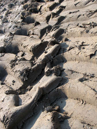 Close-up Tire tracks