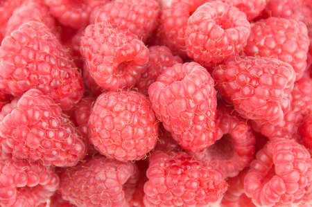 Pile of fresh raspberries