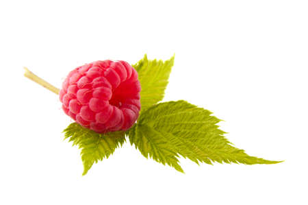 Ripe raspberry on green leaves on white backgroundの写真素材