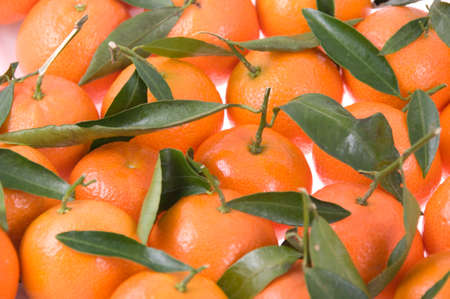 Many mandarines with green leavesの写真素材