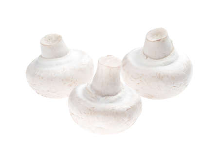 Three white mushrooms on a white backgroundの写真素材