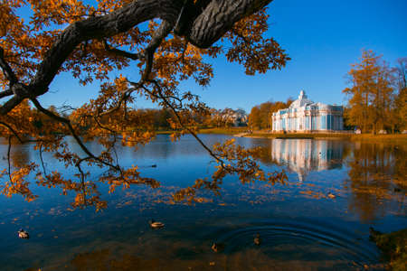 autumn in parkの写真素材
