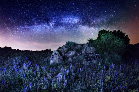 Milky Way. Beautiful summer night on the sea in Ukraineの写真素材