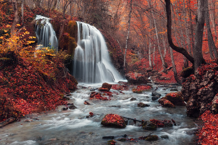 Beautiful waterfall in autumn forest. Silver Stream Waterfall. Autumn forest in Crimeaの写真素材